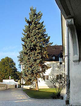 Schloss Český Krumlov, V. Schlosshof, Foto: Zdena Flašková 